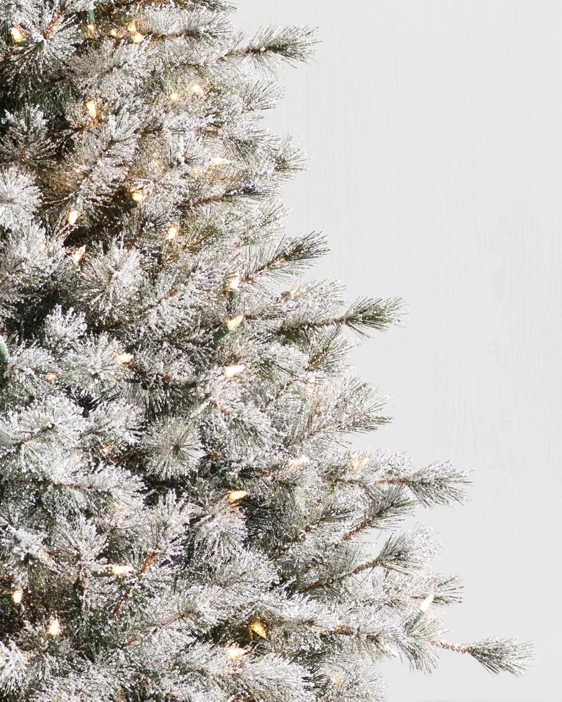 Árvore de Natal Pinheiro Açucarado Nevado