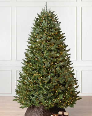 Árvores de Natal