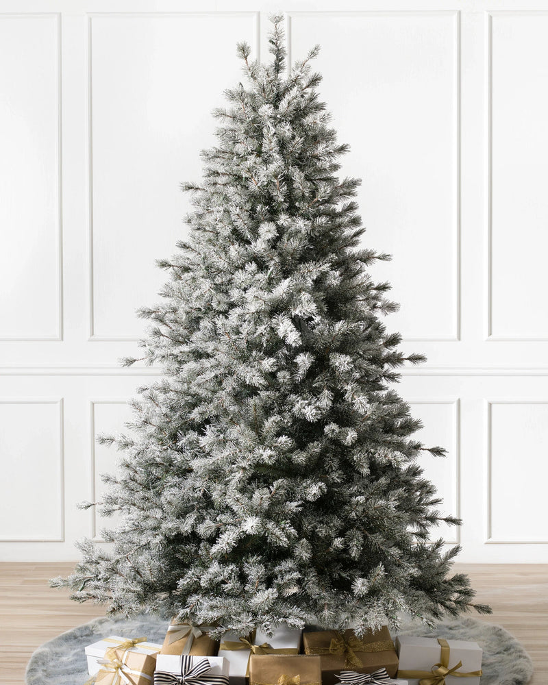 Árvore de Natal Pinheiro Açucarado Nevado
