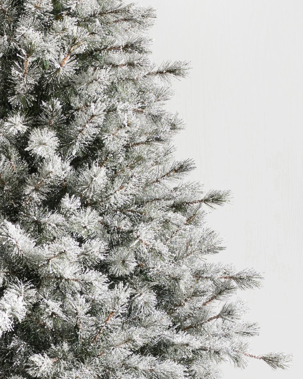 Árvore de Natal Pinheiro Açucarado Nevado