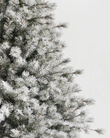Árvore de Natal Pinheiro Açucarado Nevado