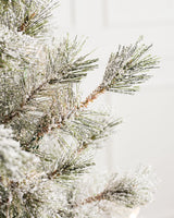 Árvore de Natal Pinheiro Açucarado Nevado