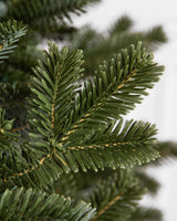 Árvore de Natal Abeto Fraser Imperial — imagem 3