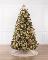 Árvore de Natal Abeto Fraser Imperial — imagem 4