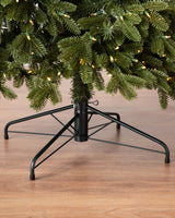 Árvore de Natal Abeto Fraser Imperial — imagem 5