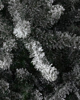 Árvore de Natal Pinheiro Azul Clássico Nevado
